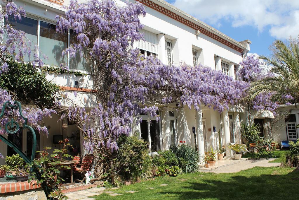 Domaine Saint Nicolas Bed and Breakfast Perpignan Buitenkant foto